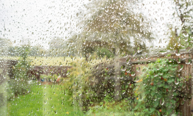 April Showers and How Excess Rain Affects Your Septic Tank