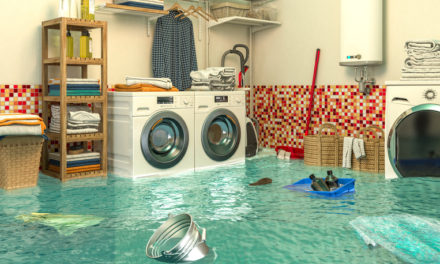 Top 6 Things To Do When You Have a Flood In Your Home