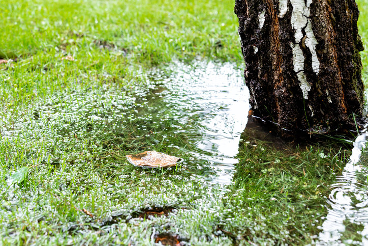 Common Spring Sewer Issues and How to Prevent Them