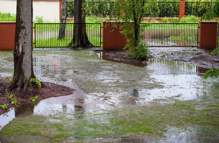 Why Does My Home Smell Like Sewage After It Rains?